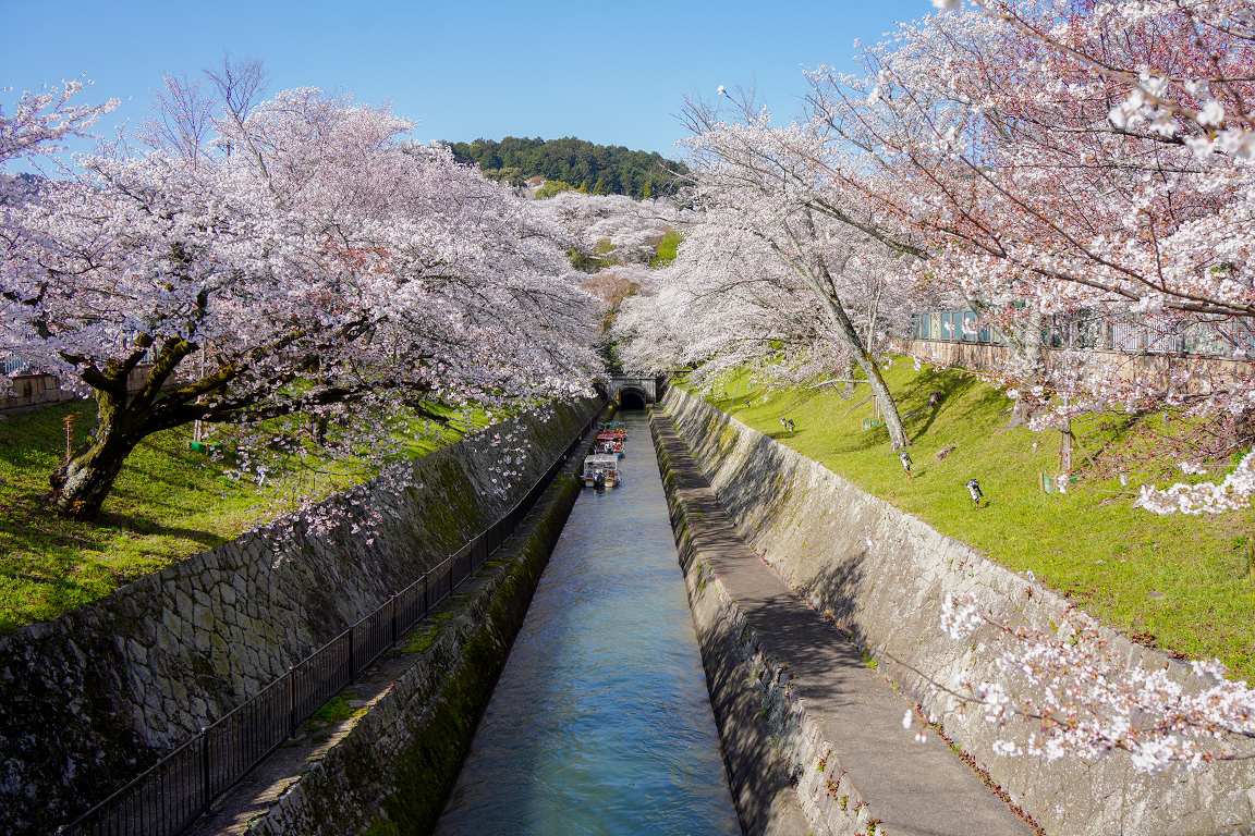 【⑦大津運河】
<br>大津閘門及び堰門と第一隧道を繋ぐ運河。掘削工事は、明治19年にオープンカット工法で実施され、その後石積みを実施し、明治20年に完成した。
<br>