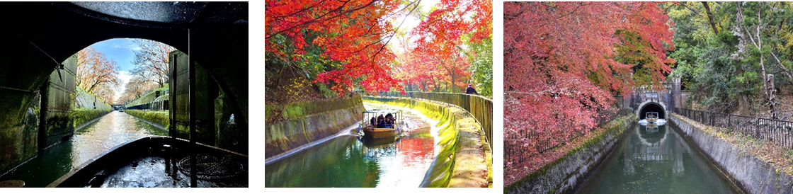 秋運航イメージ